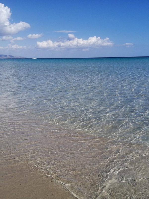 WhatsApp Image 2024-04-15 at 19.51.26(3)