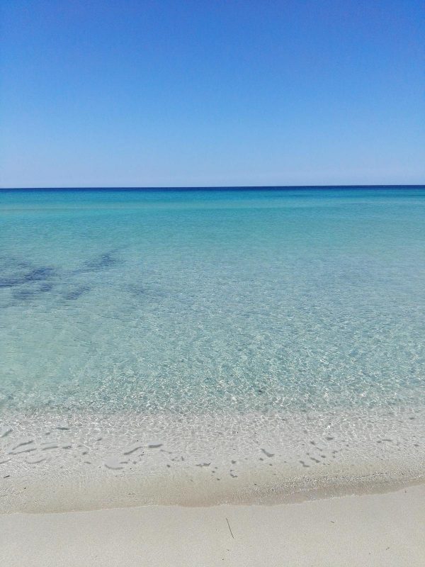 WhatsApp Image 2024-04-15 at 19.53.37